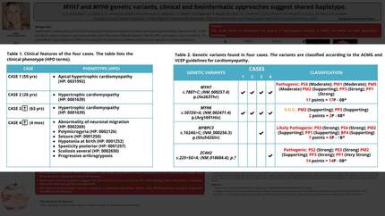 Presentation thumbnail