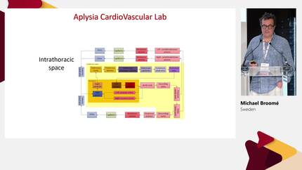 Introduction to hemodynamic simulation