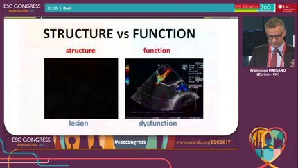 Presentation thumbnail