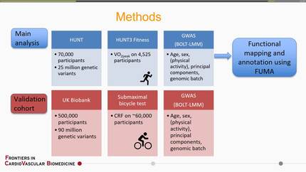 New genetic determinants of VO2max-level identified by GWAS: The HUNT Study