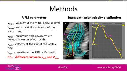 Intraventricular velocity difference and velocity gradient along the early diastolic filling streamline as new measurements to assess diastolic dysfunction by vector flow mapping