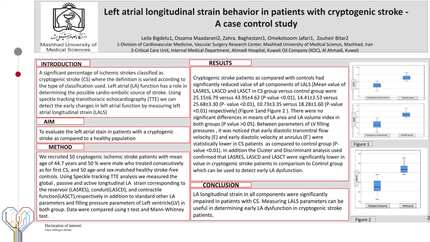 Left atrial longitudinal strain behavior in patients with cryptogenic stroke - a case control study