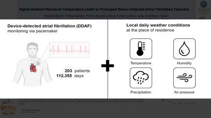 Presentation thumbnail