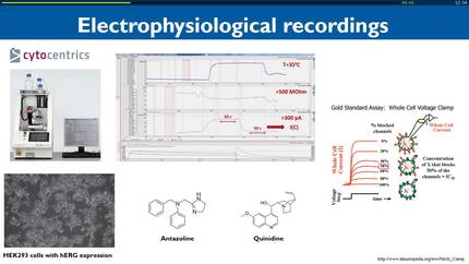 Antazoline-new antiarrhythmic agent and its interactions with human ether-a-go-go-related gene channels