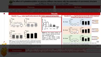 Presentation thumbnail