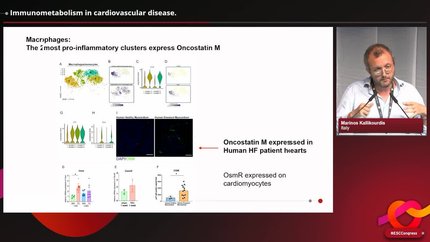 Presentation thumbnail