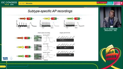 Presentation thumbnail