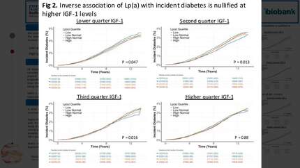 The effect of baseline low-normal insulin-like growth factor-1 on the relation between lipoprotein (a) and incident type 2 diabetes and outcome: observations from the UK-Biobank.