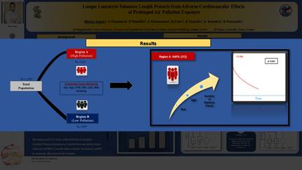 Presentation thumbnail