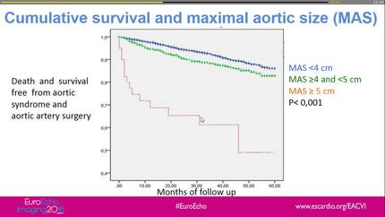 Echocardiographic aortic size distribution and prognosis in outpatients without valvular heart disease 