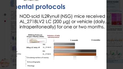 Presentation thumbnail
