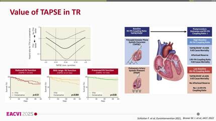 Presentation thumbnail