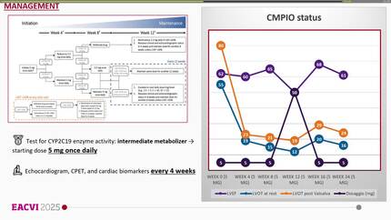 Presentation thumbnail