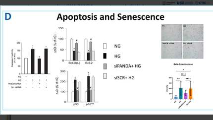 Presentation thumbnail