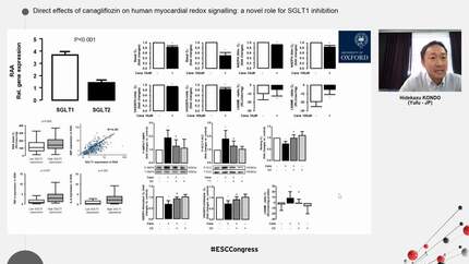Direct effects of canagliflozin on human myocardial redox signalling: a novel role for SGLT1 inhibition