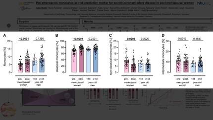 Presentation thumbnail