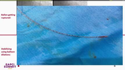 Presentation thumbnail