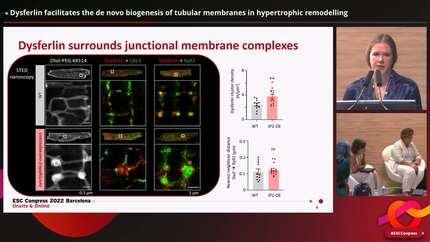 Presentation thumbnail