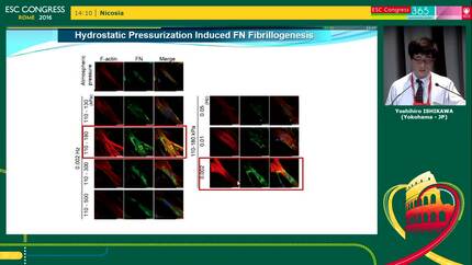 Presentation thumbnail