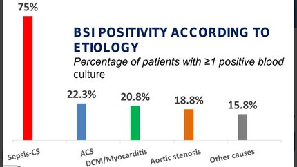 Bloodstream infections during Impella support in refractory cardiogenic shock: incidence, microbiology and clinical implications