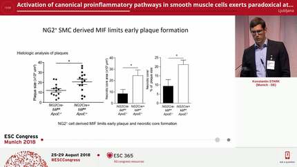 Activation of canonical proinflammatory pathways in smooth muscle cells exerts paradoxical atheroprotective effects