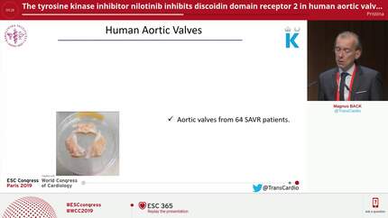 Presentation thumbnail