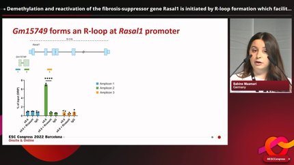 Presentation thumbnail