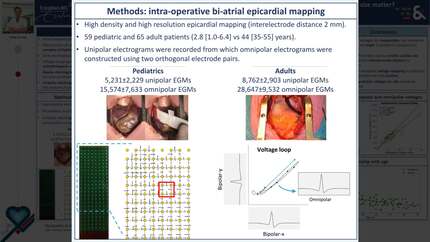 Presentation thumbnail