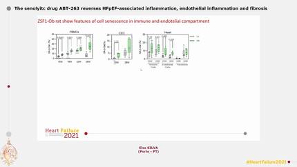 The senolyitc drug ABT-263 reverses HFpEF-associated inflammation, endothelial inflammation and fibrosis