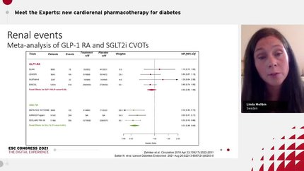 Meet the Experts: new cardiorenal pharmacotherapy for diabetes