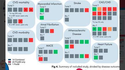 Presentation thumbnail