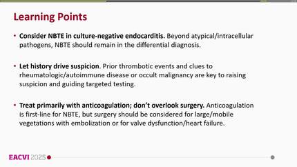 NBTE as the final clue: a case of antiphospholipid syndrome revealed post-stroke