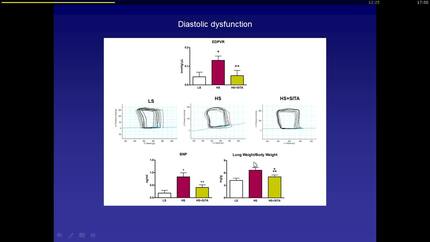 Dipeptidyl peptidase 4 inhibitor sitagliptin reduces oxidative stress, endothelial dysfunction and preserves diastolic function in a rat model of heart failure with preserved ejection fraction