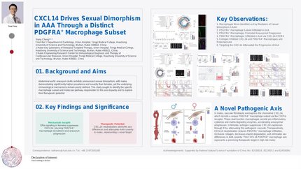 Presentation thumbnail