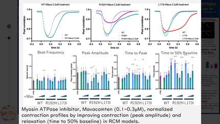 Presentation thumbnail