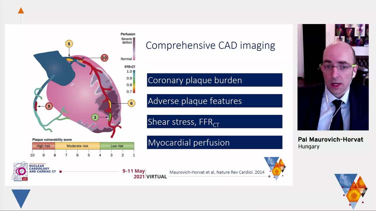 Multimodality imaging of the vulnerable plaque