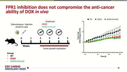 Presentation thumbnail