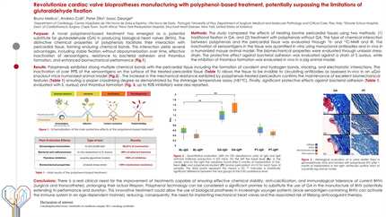 Presentation thumbnail