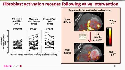 Presentation thumbnail