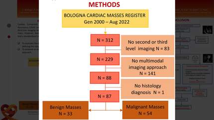 Multimodality imaging in cardiac masses