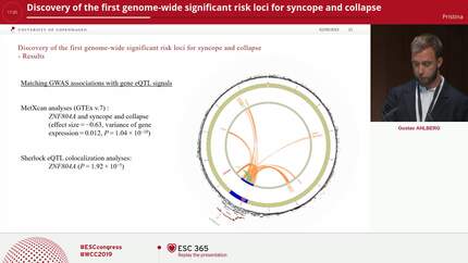 Discovery of the first genome-wide significant risk loci for syncope and collapse