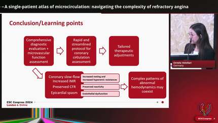 A single-patient atlas of microcirculation: navigating the complexity of refractory angina