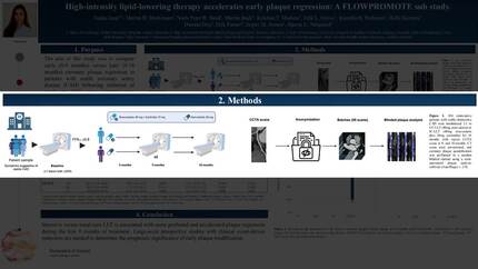 Presentation thumbnail