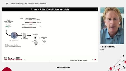 Presentation thumbnail