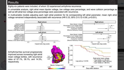 Impact of the right atrial substrate on arrhythmia recurrence following atrial fibrillation ablation