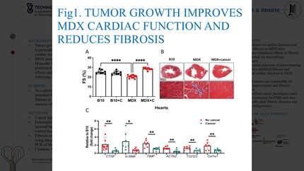 Presentation thumbnail