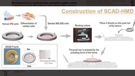 Presentation thumbnail