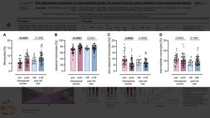 Presentation thumbnail