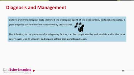 A curious case of trivalvular endocarditis