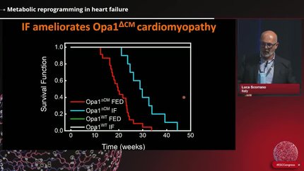 Metabolism and cardiac dysfunction: from mechanisms to therapies